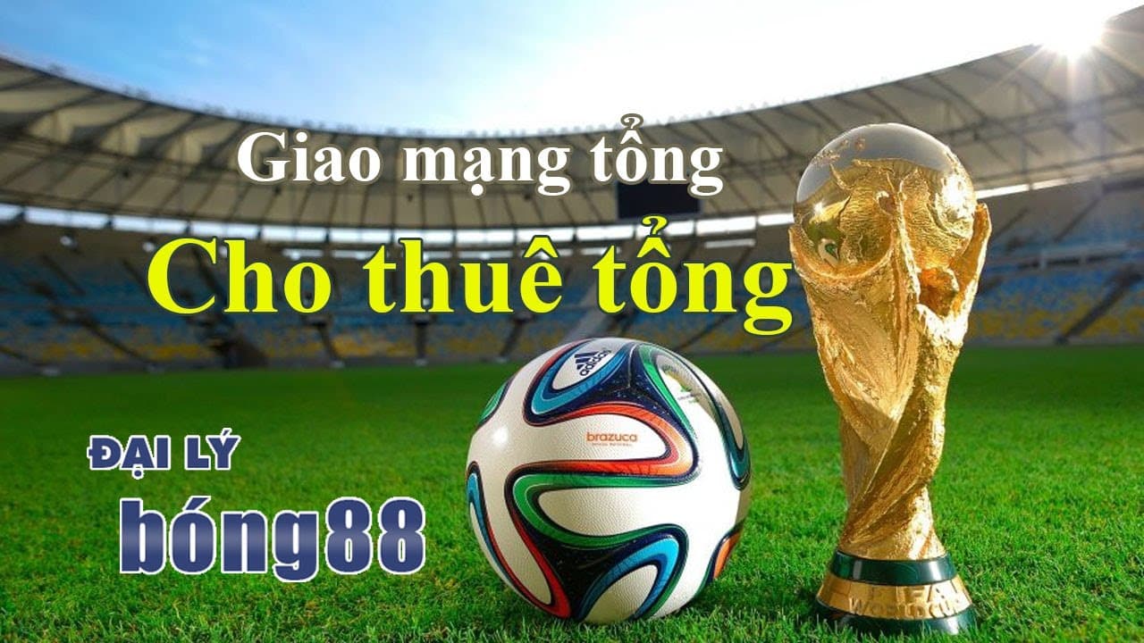 giao mạng tổng viva88