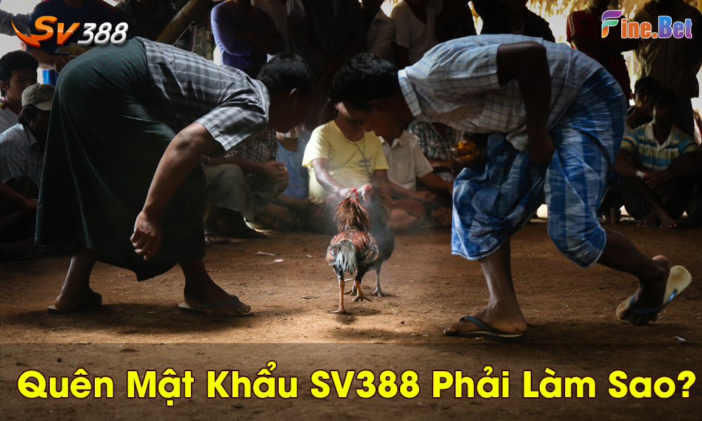 quên mật khẩu sv388 phải làm sao